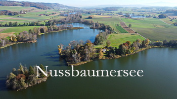 Nussbaumerweiher